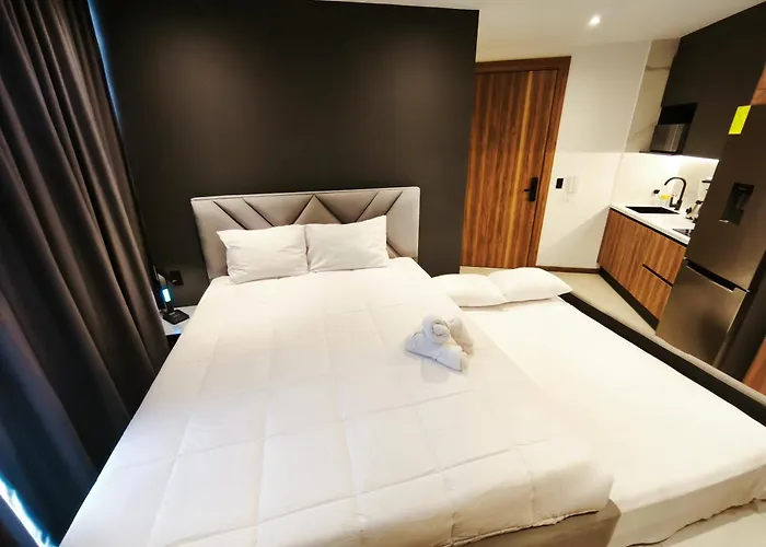 Harmony Coliving Ecuador Pool Carolina Park Quito